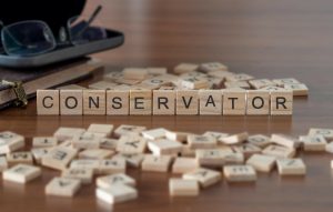 Conservators spelled out in small wooden blocks on a table